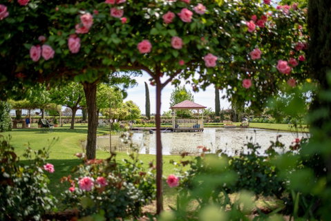 Griffith Spring Fest - Accommodation QLD 0