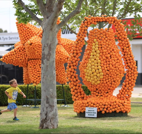 Griffith Spring Fest - Accommodation QLD 1