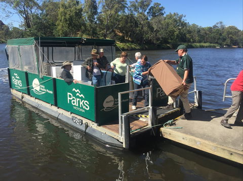 Herring Island Summer Arts Festival - Accommodation QLD 1