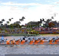 Jacaranda Dragon Boat Races - Accommodation QLD