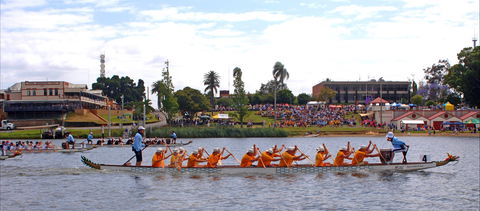 Jacaranda Dragon Boat Races - Accommodation QLD 0