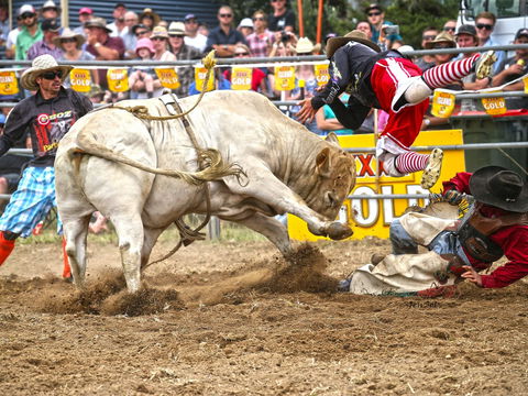 Jindabyne's Man From Snowy River Rodeo - Accommodation QLD 0