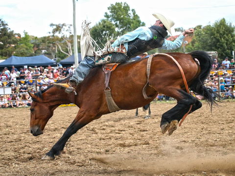 Jindabyne's Man From Snowy River Rodeo - Accommodation QLD 1