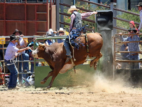 Jindabyne's Man From Snowy River Rodeo - Accommodation QLD 2