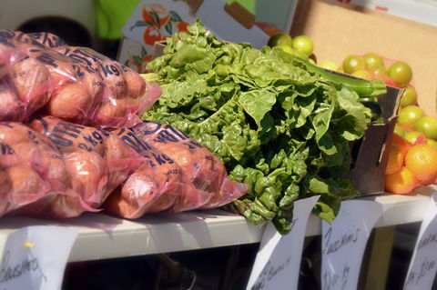 Junee Rotary Farmers Markets - Accommodation QLD 2