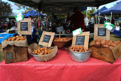 Lawson Park Markets - Accommodation QLD 0
