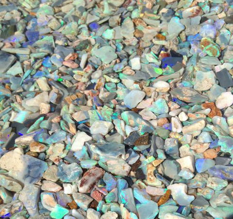 Lightning Ridge Opal Festival - Accommodation QLD 1