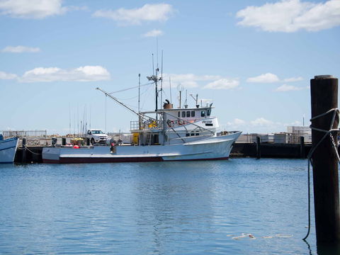 Love Sea Food Port Stephens - Accommodation QLD 1