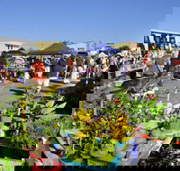 Maclean Community Monthly Markets - Accommodation QLD