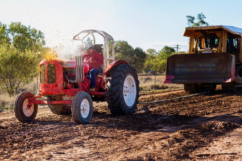 Miles Back To The Bush Festival - Accommodation QLD 1