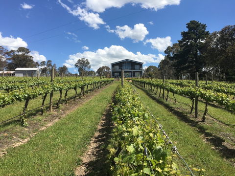 Mortimer's Diploma Of Taste - Accommodation QLD 0