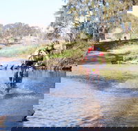 Mountain Man Tri Challenge - Accommodation QLD