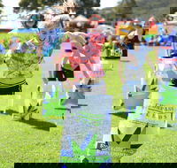 Mt Compass Farmerama - Accommodation QLD