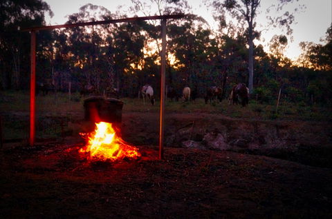 Night Horse Ride And Dinner - Accommodation QLD 2