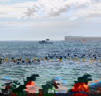 Nowra Toyota triHusky Huskisson Triathlon Festival Little Husky - Accommodation QLD