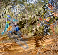 NSW State Downhill Mountain Bike Championships