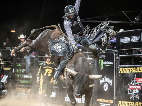 PBR Hawkesbury Stampede - Accommodation QLD 0