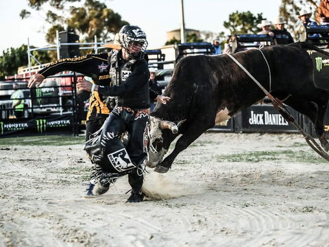 PBR Hawkesbury Stampede - Accommodation QLD 2