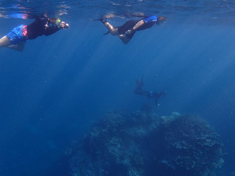 Project Manta Ningaloo Reef, Western Australia - Accommodation QLD 1