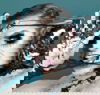 Reuben Kaye Comes Out to Play - Accommodation QLD