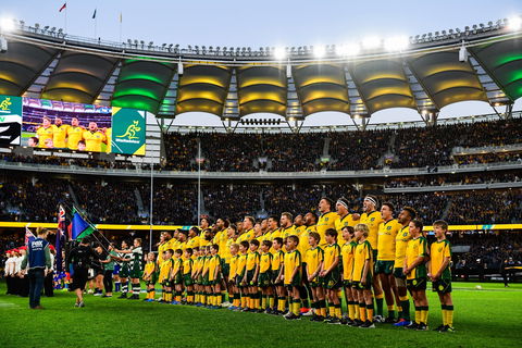 Rugby Championship: Qantas Wallabies V Springboks - Accommodation QLD 0