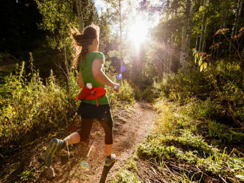 Run Dungog - Accommodation QLD 0