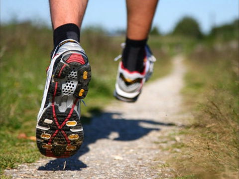 Run Dungog - Accommodation QLD 1