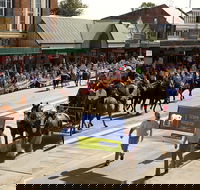 Scone Horse Festival - Accommodation QLD