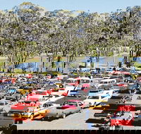 Spring Cruiz In - Accommodation QLD
