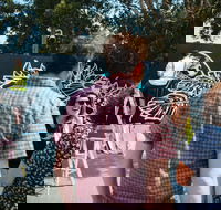 The Big Picture Fest Newcastle - Accommodation QLD