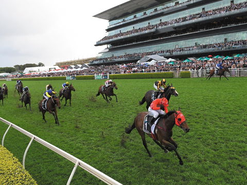 The TAB Everest: The World’s Richest Race On Turf - Accommodation QLD 0