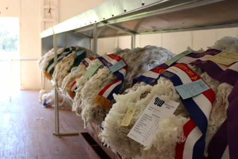 Trundle Agricultural Show - Accommodation QLD 2