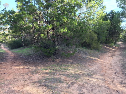 Victoria Park Moonta Monthly Walks - Accommodation QLD 1