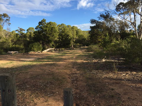 Victoria Park Moonta Monthly Walks - Accommodation QLD 2
