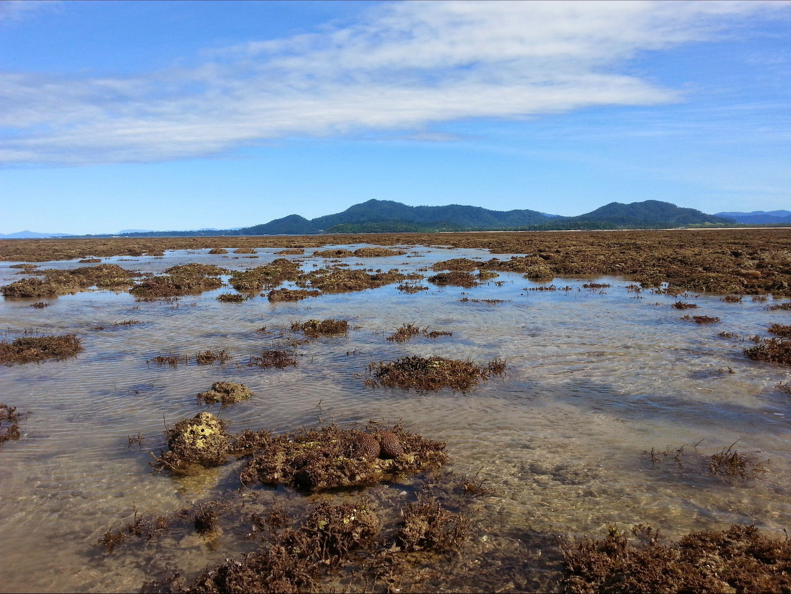 Kurrimine Beach QLD Accommodation QLD