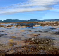 Walk to the Reef - Accommodation QLD
