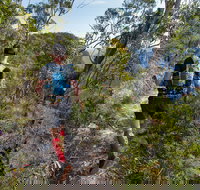 Wild Earth Coastal High 50 - Accommodation QLD