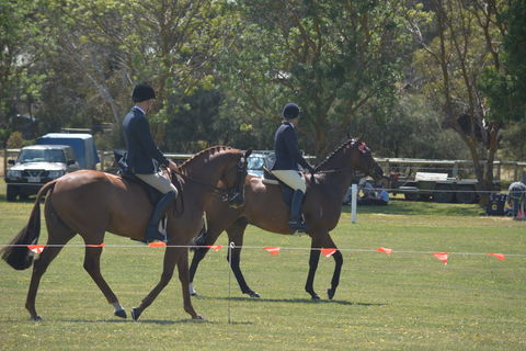 Yankalilla Show - Accommodation QLD 2
