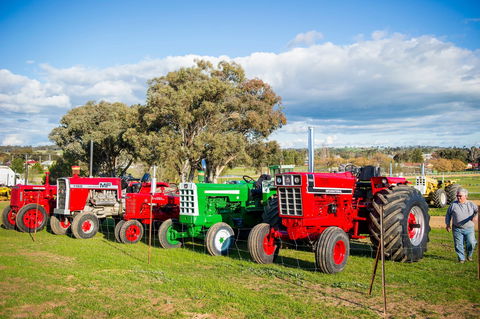 144th Annual Grenfell Show - Accommodation QLD 1