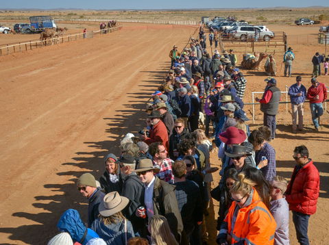 28th Marree Australasian CAMEL CUP 3 July 2021 - Accommodation QLD 0