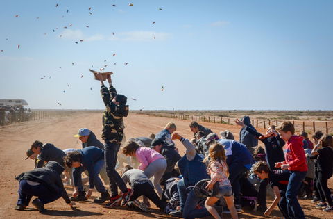 28th Marree Australasian CAMEL CUP 3 July 2021 - Accommodation QLD 1