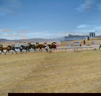 Adaminaby Cup Race Day - Accommodation QLD
