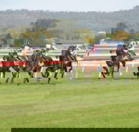 Aggies Race Day - Accommodation QLD