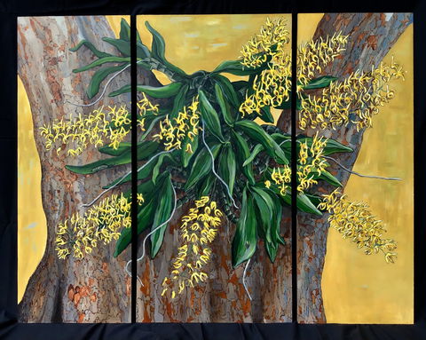 A Still Life - Solo Exhibition  Karen Sedaitis - Accommodation QLD 1