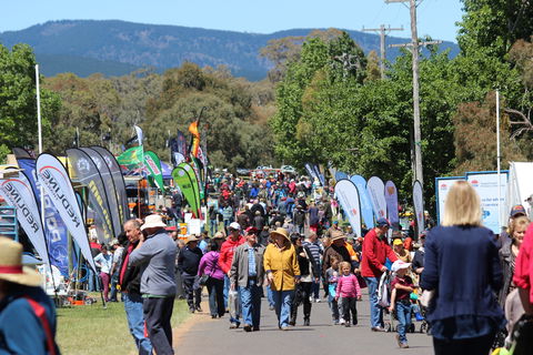 Australian National Field Days - Accommodation QLD 1
