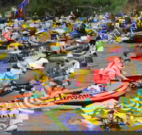 Australia Day Celebrations Gunnedah - Accommodation QLD