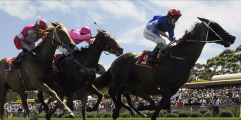 Batemans Bay Cup - Accommodation QLD 0