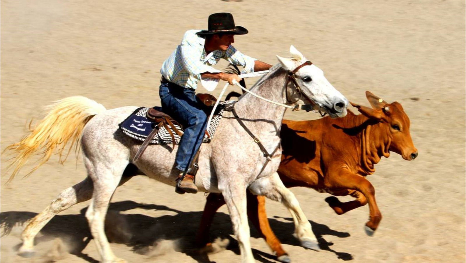 Amaroo QLD Accommodation QLD
