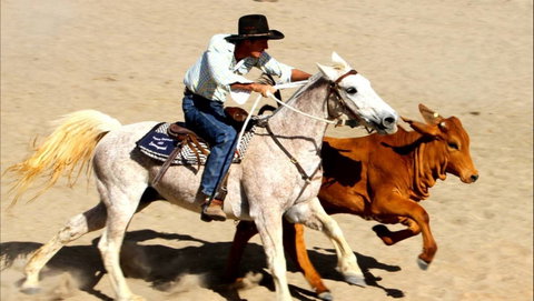 Bedourie Campdraft, Rodeo, Gymkhana - Accommodation QLD 0