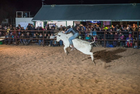 Bedourie Campdraft, Rodeo, Gymkhana - Accommodation QLD 1